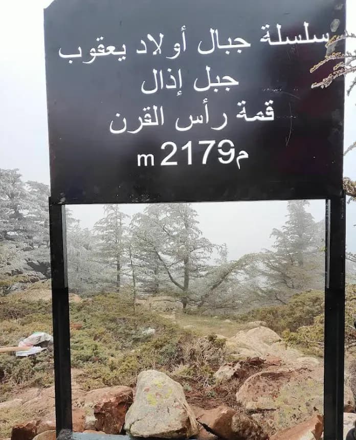 Forêt d’Ouled Yaâcoub, joyau des Aurès