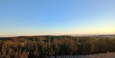 outdoor-sports-arena-znadia-setif-i0