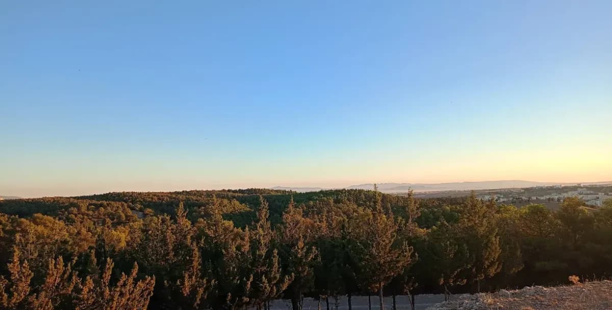 Outdoor Sports Arena – Znadia