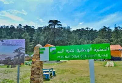 parc-national-de-theniet-el-had-tissemsilt-i0