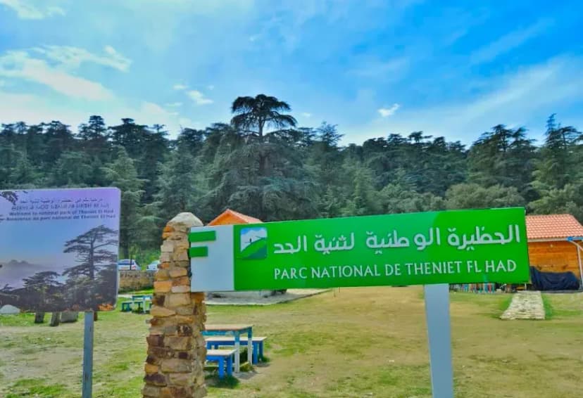 Parc national de Theniet el Had