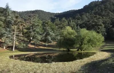parc-national-de-theniet-el-had-tissemsilt-i1