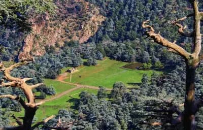 parc-national-de-theniet-el-had-tissemsilt-i3