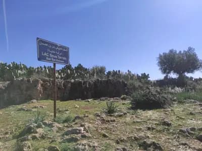 bir-ben-osman-guelma-i1