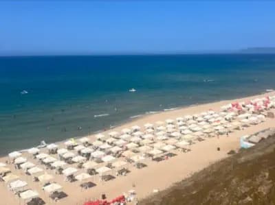 jeanne-darc-shatya-jandark-skikda-i0