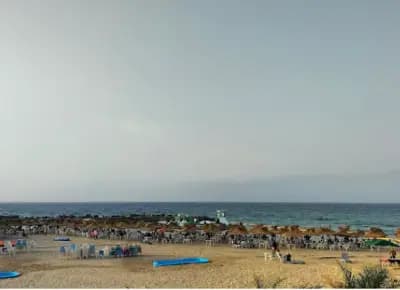 jeanne-darc-shatya-jandark-skikda-i1