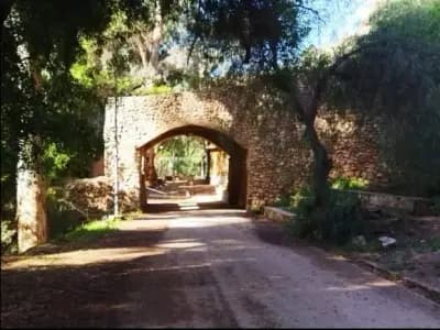 vieux-saida-au-coeur-de-lhistoire-saida-i0