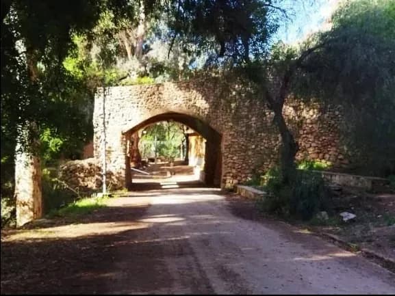 Vieux Saïda, au cœur de l’histoire