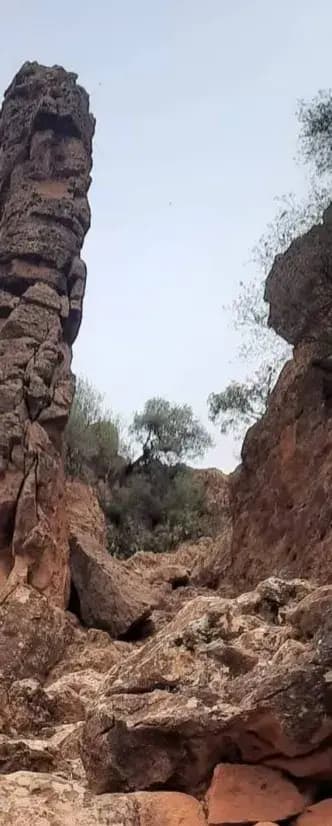 vieux-saida-au-coeur-de-lhistoire-saida-i1