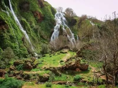 tifrit-perle-naturelle-de-saida-saida-i0
