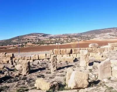 ruines-romaines-de-rapidium-medea-i0