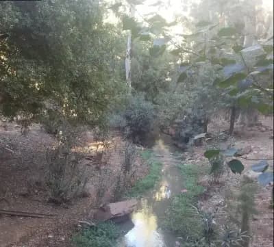 fort-de-lemir-abdelkader-a-saida-saida-i0