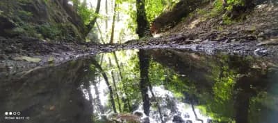 beni-belaid-jijel-i2