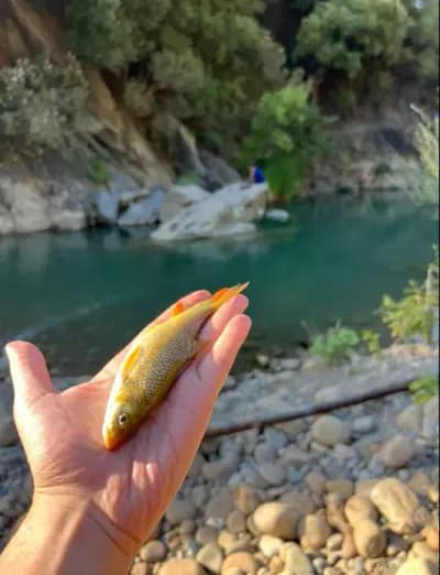 oued-djen-djen-jijel-i1