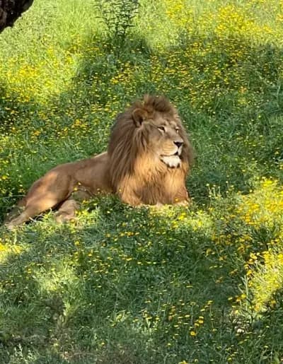 parc-zoologique-de-jijel-jijel-i2