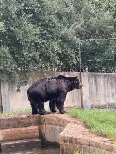parc-zoologique-de-jijel-jijel-i4