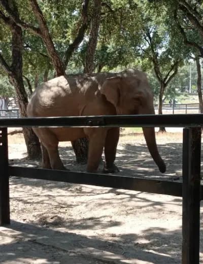 parc-zoologique-de-jijel-jijel-i5