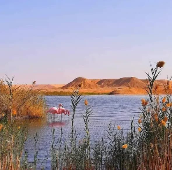 Hassi El Gara بحيرة حاسي القارة