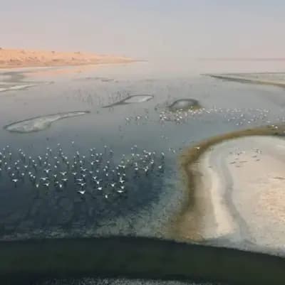 hassi-el-gara-bhyrh-hasy-alqarh-el-meniaa-i3