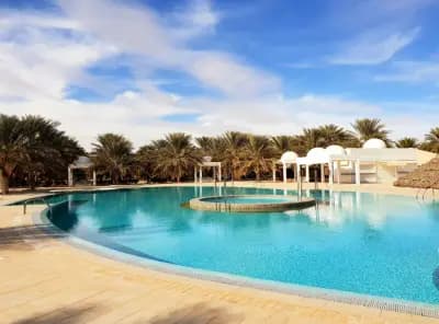 la-gazelle-dor-or-el-oued-el-oued-i1