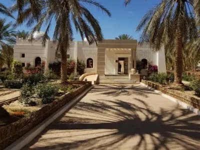 la-gazelle-dor-or-el-oued-el-oued-i2