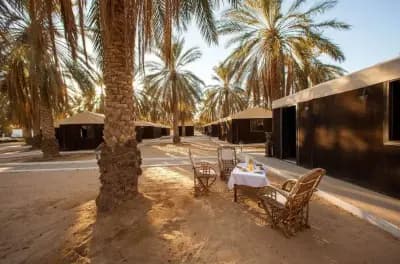 la-gazelle-dor-or-el-oued-el-oued-i6