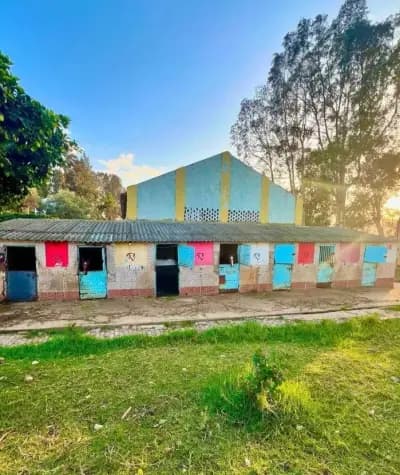 club-hippique-de-skikda-skikda-i0
