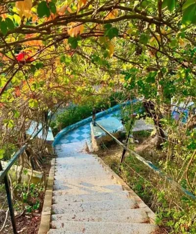 club-hippique-de-skikda-skikda-i3