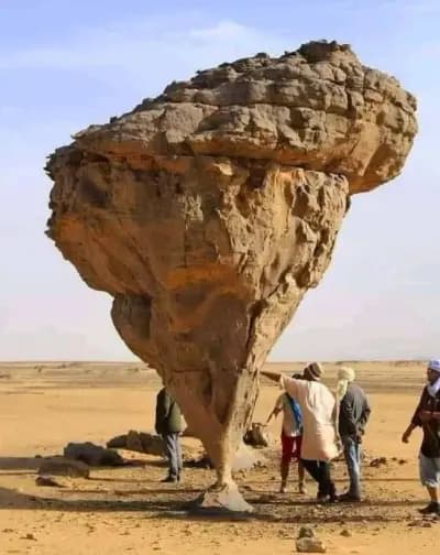 douar-elmaa-or-el-oued-el-oued-i0