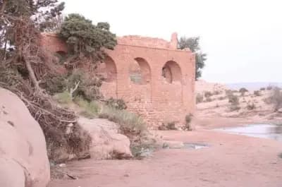 el-ghicha-or-laghouat-laghouat-i2