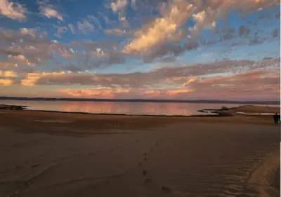 lac-nechiha-bhyrh-alnshyhh-bechar-i0