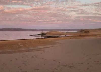 lac-nechiha-bhyrh-alnshyhh-bechar-i1