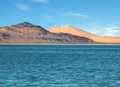 lac-nechiha-bhyrh-alnshyhh-bechar-i2