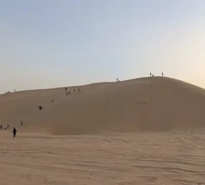 les-dunes-de-loued-el-oued-i0