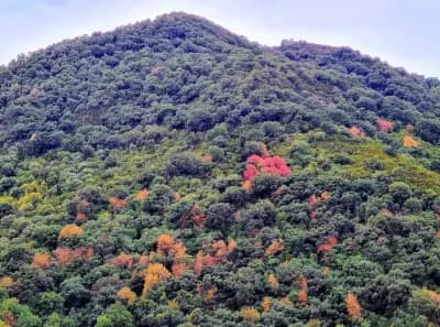 oued-zhor-skikda-i2