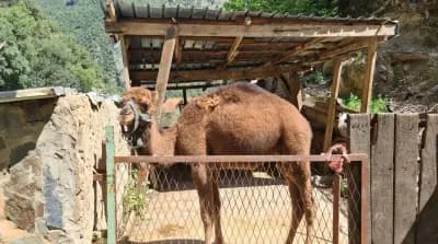 parc-de-loisirs-familial-or-blida-blida-i5