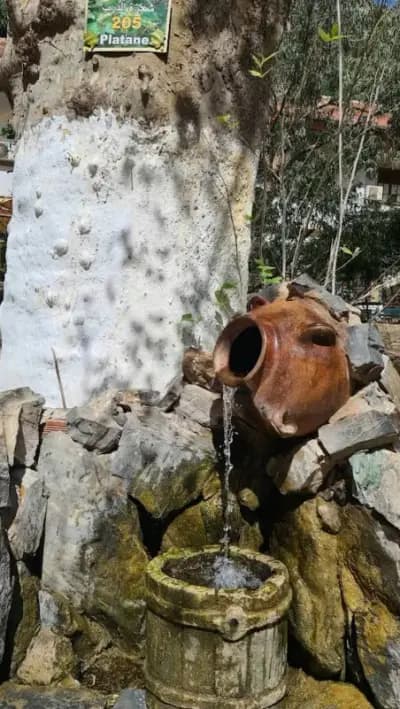 parc-de-loisirs-familial-or-blida-blida-i6