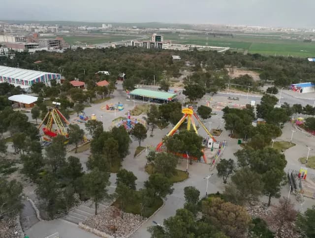 overview image