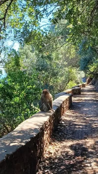 cap-bouak-bejaia-i0