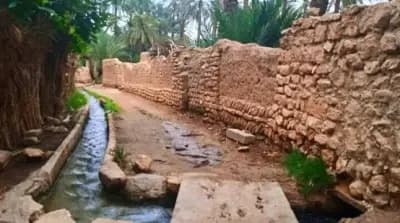 chetma-biskra-i1