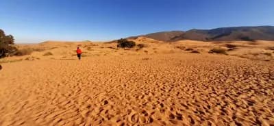 dunnes-ain-sefra-or-naama-naama-i1
