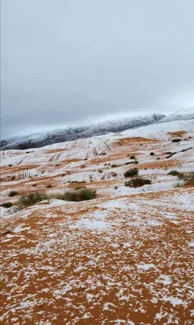 dunnes-ain-sefra-or-naama-naama-i4