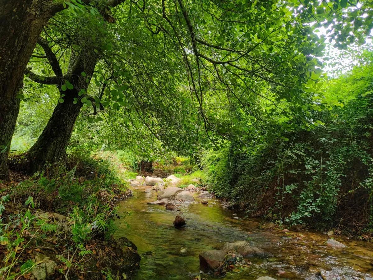 Aïn Zarga, source naturelle de Saïda