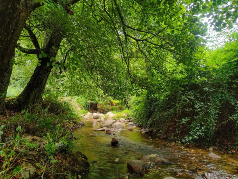 Aïn Zarga, source naturelle de Saïda