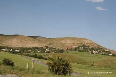 ain-zarga-source-naturelle-de-saida-saida-i2