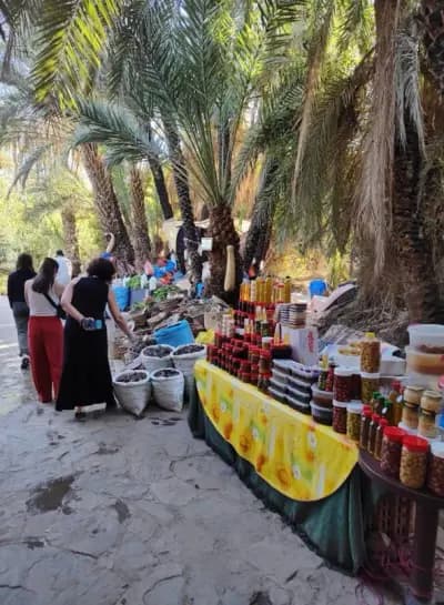 oasis-tiout-or-naama-naama-i5
