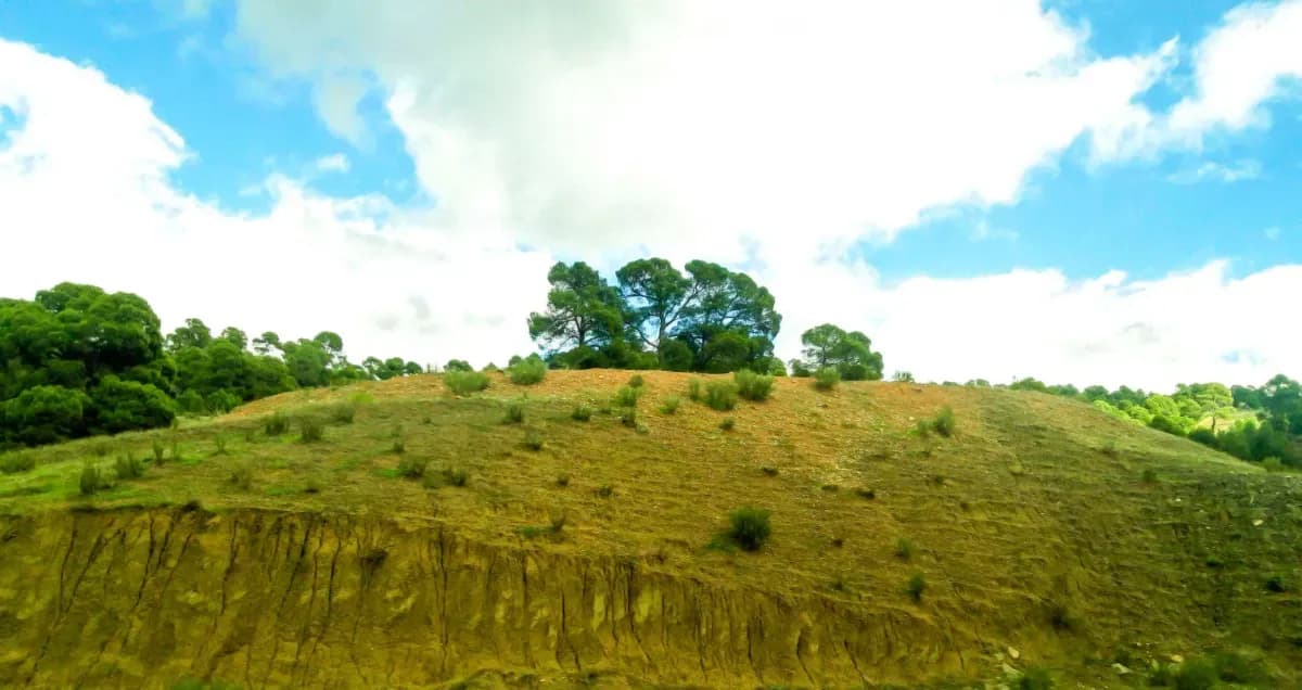 Djebel Lakhdar, sommet naturel de Saïda