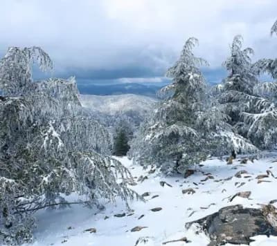 mont-zaccar-ain-defla-i1