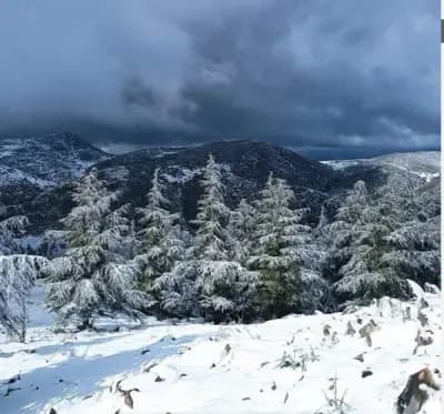 mont-zaccar-ain-defla-i2