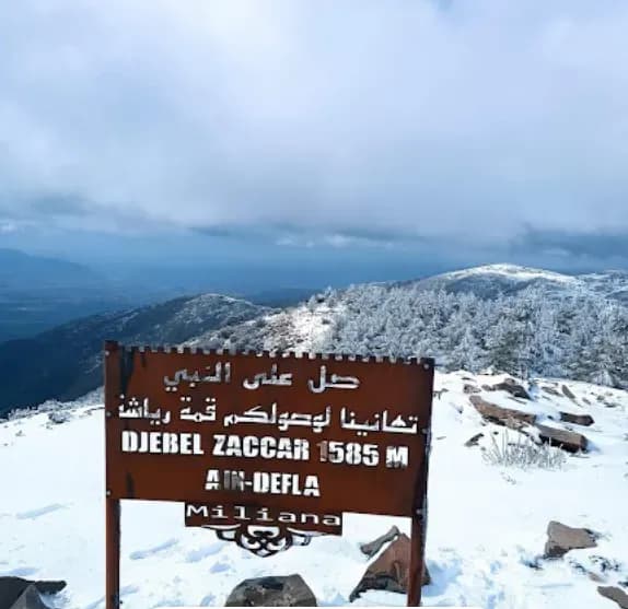 overview image